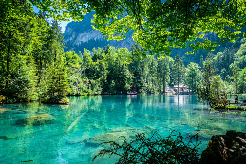 The Blausee, Blausee