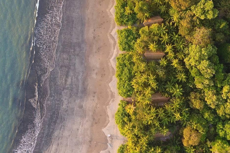 Isla Palenque, Panama