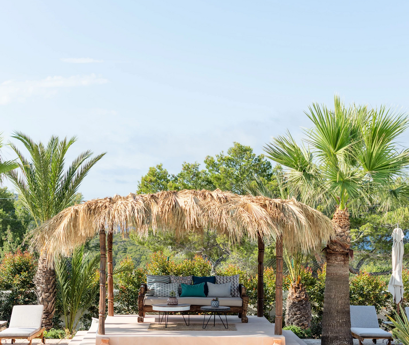 Petunia, Ibiza